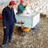 Transporter 600W XL